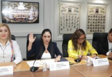 Comisión del Congreso garantiza criterios de inclusión y no discriminación en primer empleo