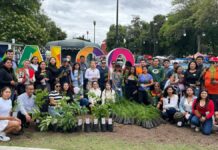 Realizan 5a jornada de reforestación de “Sembremos Esperanza”