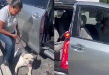 Mujer arrastra a perrito con su camioneta en Puebla