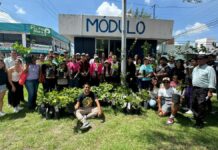 Continúa la reforestación en Puebla con “Sembremos Esperanza”