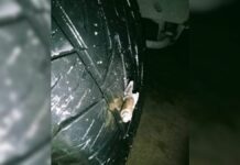 Denuncian uso de ponchallantas por asaltantes en la México-Puebla