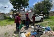 Avanza eliminación de criaderos del mosquito de dengue en Atlixco