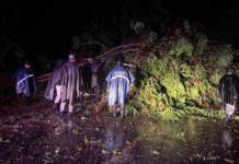 Huracán “John” deja al menos dos muertos en Guerrero