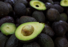 Agricultura verificará huertos para exportación de aguacate a EU