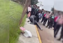 Alumnas protagonizan pelea afuera de CECyTE Chignahuapan