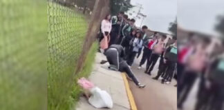 Alumnas protagonizan pelea afuera de CECyTE Chignahuapan