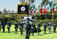 Incorporación de GN a Sedena le dará estabilidad: especialista