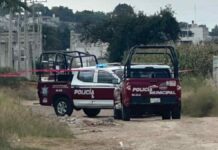 Hallan dos cuerpos desmembrados dentro de cajas en Amozoc