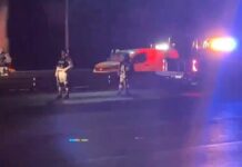 Hallan dos cuerpos sin vida en camellón de la México-Puebla