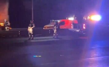 Hallan dos cuerpos sin vida en camellón de la México-Puebla