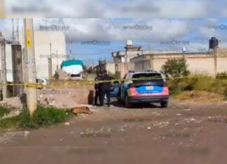 Hallan feto humano dentro de bolsas de plástico en Puebla capital