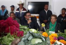 Impulsan en el Congreso a productores de flor de cempasúchil y terciopelo