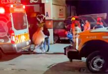 Mujer choca contra estética y muere en San Jerónimo Caleras