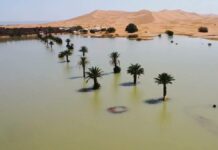 Lluvias atípicas provocan inundación en el desierto del Sahara