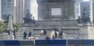 Réplica “caída” en el Ángel de la Independencia es para una película