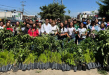Realizan jornadas de reforestación en Puebla y Tehuacán