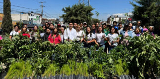 Realizan jornadas de reforestación en Puebla y Tehuacán