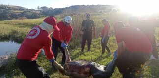 Hallan cadáver en descomposición en laguna de Valsequillo