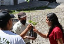 Con jornadas de reforestación, desarrollamos espacios verdes: Armenta