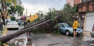 Fuertes lluvias causan múltiples afectaciones en Puebla