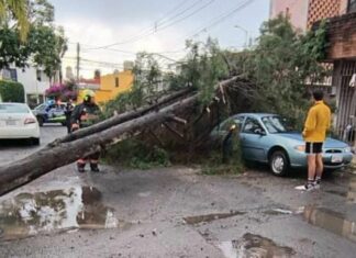 Fuertes lluvias causan múltiples afectaciones en Puebla
