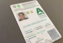 Conductores de CDMX podrían solicitar licencia para conducir permanente