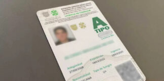 Conductores de CDMX podrían solicitar licencia para conducir permanente
