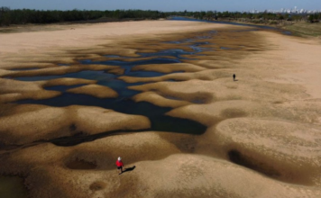 Declaran a 2023 el año con mayor sequía en ríos en treinta años
