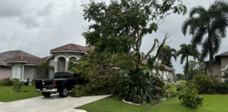Reportan cuatro muertos en Florida tras paso del huracán Milton