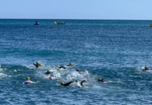 Muere Roger Mas, deportista mexicano durante Mundial de Triatlón