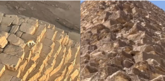 Captan a perrito en la cima de la Gran Pirámide de Guiza