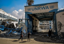 OMS califica de “intolerable” nueva legislación israelí contra la UNRWA