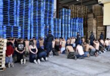 Aseguran a 27 animales exóticos y detienen a 42 personas en Edomex