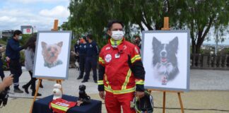 SCJN avala pena mayor a hombre que envenenó a perros rescatistas