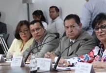 Comisión del Congreso avala que municipios cumplan con Ley de Imagen Institucional