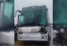 Estudiantes del GDO sufren accidente en el Arco Norte