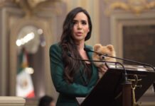 Presentan iniciativa para que jueces definan custodia de “perrihijos”