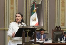 Proponen “Ley Domínguez” para inhabilitar a funcionarios por daños patrimoniales