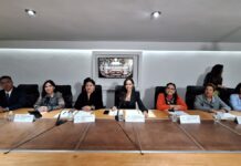 Once Comisiones y dos Comités del Congreso presentan plan de trabajo