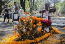 Segom de Puebla reporta saldo blanco en Día de Muertos