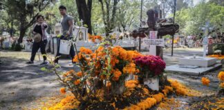 Segom de Puebla reporta saldo blanco en Día de Muertos