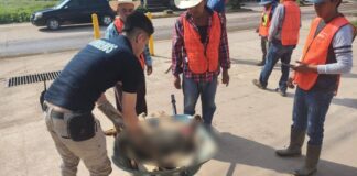 Presentan denuncia por perrito desollado en Ahuacatlán