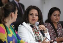 Presentan en Congreso plan de trabajo del Comité de Diario de Debates