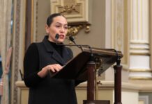 Promueven propuesta en el Congreso para que municipios garanticen servicios digitales