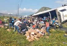 Realizan rapiña tras volcadura de tractocamión en la Puebla-Orizaba