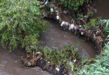 Trabajan en diagnóstico de descargas contaminantes en el Río Atoyac