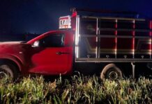 Rescatan a padre e hijo secuestrados en la autopista Teziutlán-Virreyes