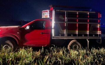 Rescatan a padre e hijo secuestrados en la autopista Teziutlán-Virreyes