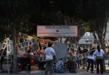 Familias de desaparecidos levantan el ‘Árbol de la Esperanza’ en Puebla
