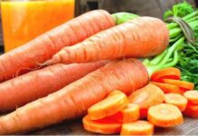 EU: Un muerto y 15 hospitalizadas por zanahorias contaminadas con E. coli